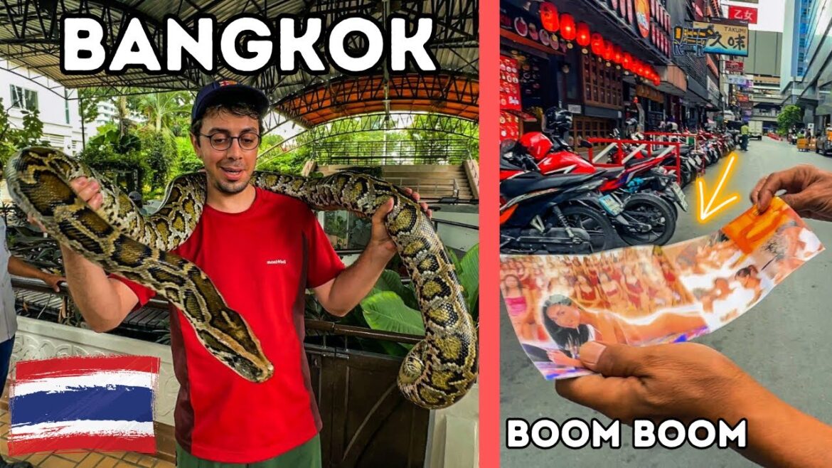 Tayland’da Korkularımla Yüzleşiyorum ,Yılan Çiftliği,Tayland Sokak Lezzetleri,Bangkok Vlog Tayland'da Korkularımla Yüzleşiyorum ,Yılan Çiftliği,Tayland Sokak Lezzetleri,Bangkok Vlog