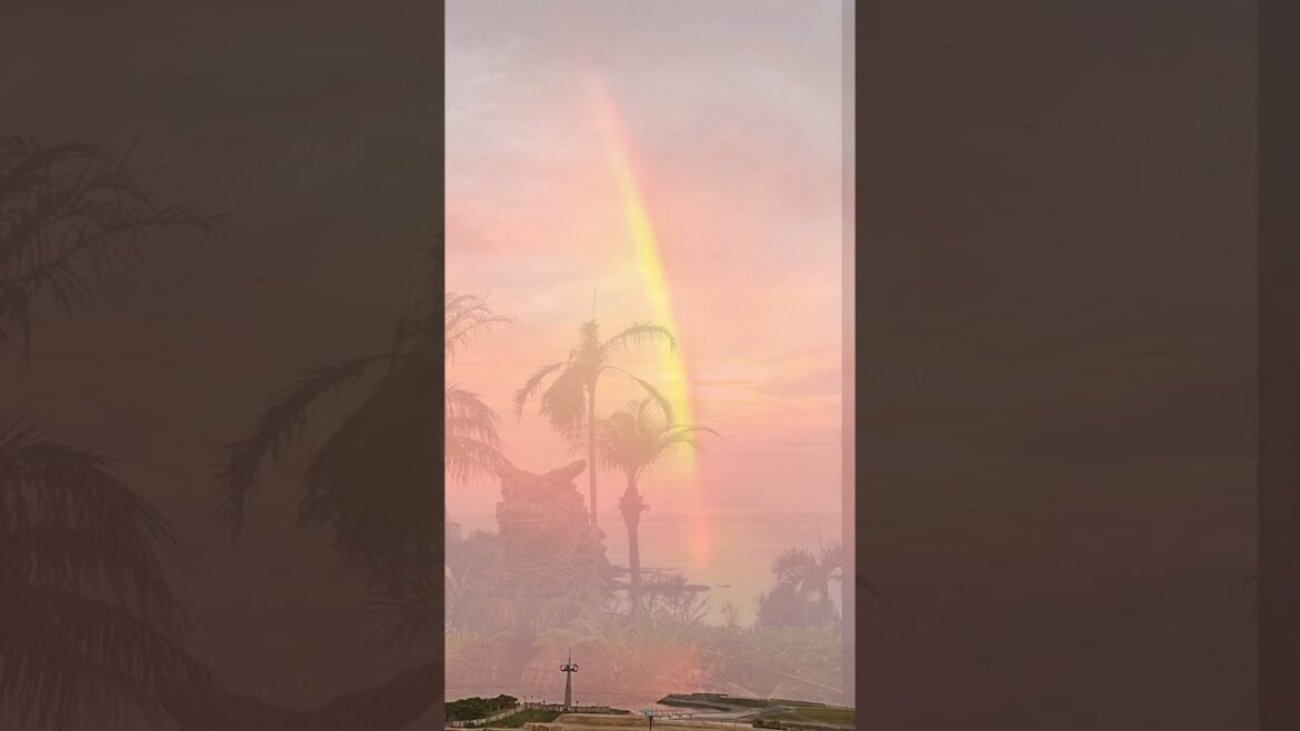 沖縄3泊4日ダイジェスト♪ 美ら海水族館・浜辺の茶屋・果報バンタ・大泊ビーチ・やちむんの里 #shorts 沖縄3泊4日ダイジェスト♪ 美ら海水族館・浜辺の茶屋・果報バンタ・大泊ビーチ・やちむんの里 #shorts