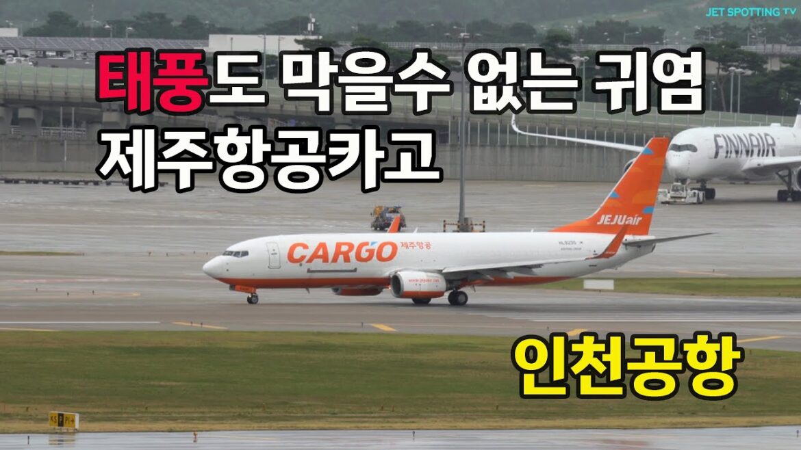 태풍카눈 온날 귀여운 제주항공카고   인천공항    PlaneSpotting