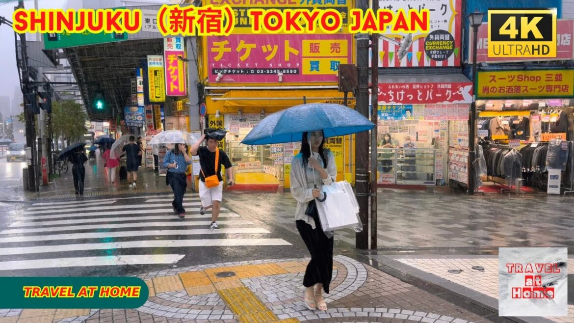 4k hdr japan travel | Rain day Walk in Shinjuku(新宿)Tokyo Japan | Relaxing Natural City ambience 4k hdr japan travel | Rain day Walk in Shinjuku(新宿)Tokyo Japan | Relaxing Natural City ambience