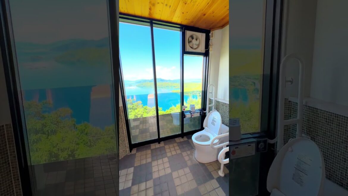 【鹿児島絶景】鹿児島で1番の絶景トイレ#shorts