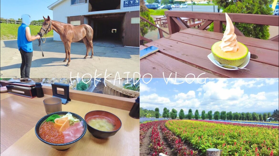 [  vlog  ] 🍣 夏の北海道欲望旅 🍺[  女ひとり旅 ]札幌🐏小樽🛳富良野🌼
