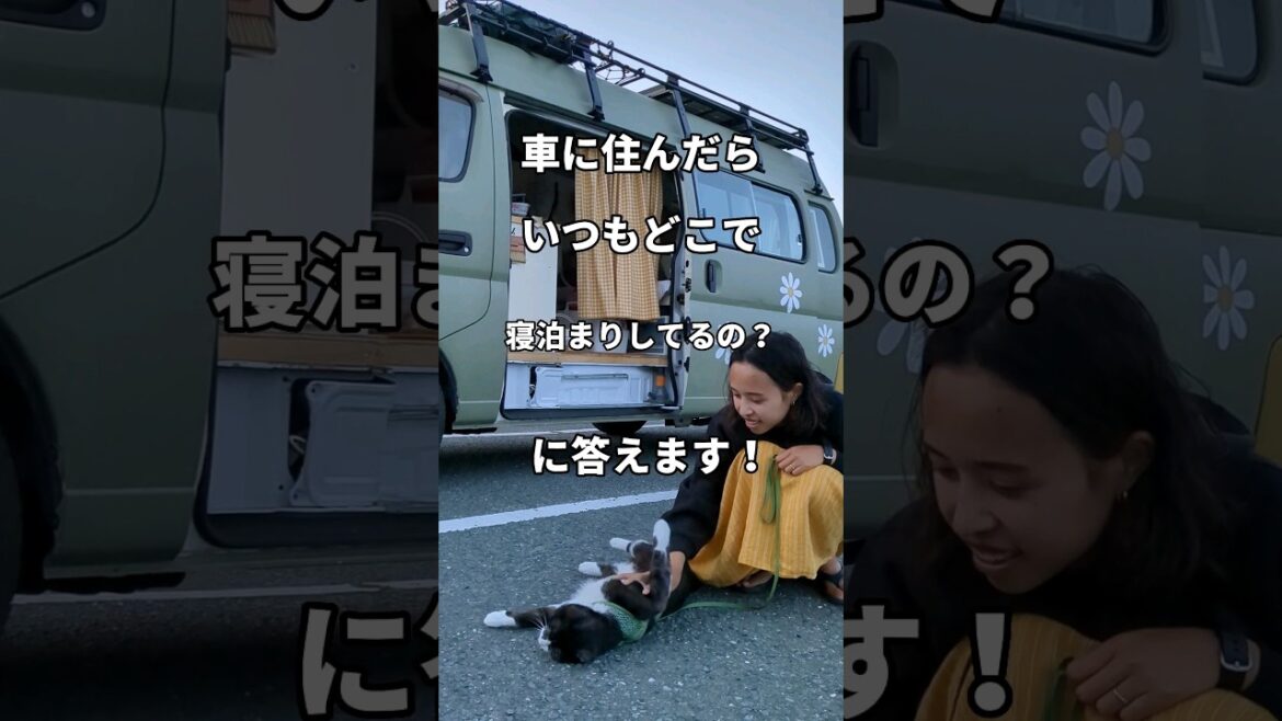 車に住む夫婦のお泊り事情 #夫婦 #バンライフ #同棲 #夫婦旅 #車中泊 #vanlife #日本一周