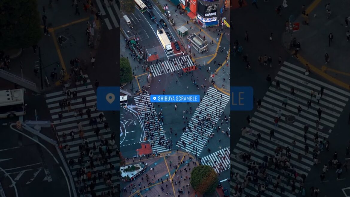 Tokyo, Japan 🇯🇵 | The Best Things to Do in #Tokyo #Japan