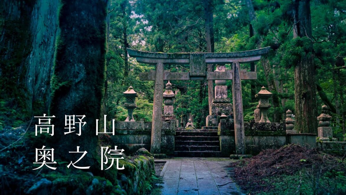 【Trip to Wakayama】高野山 奥の院｜4K｜｜和歌山｜Kouyasan okunoin｜