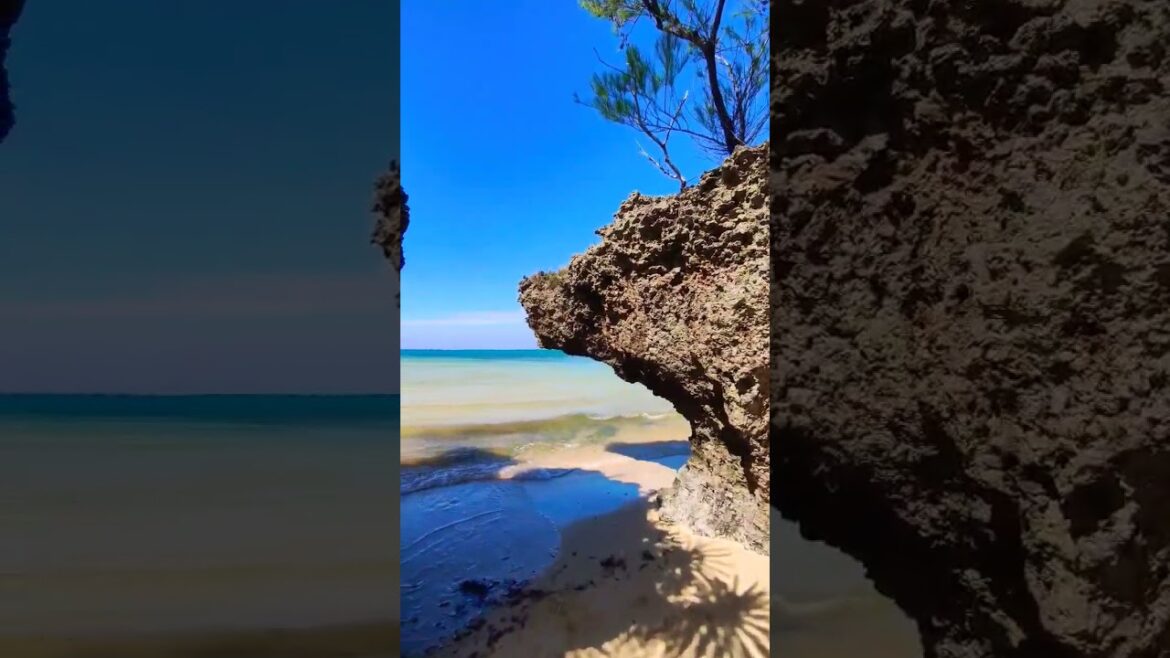 Okinawa! so many amazing hidden places🌏