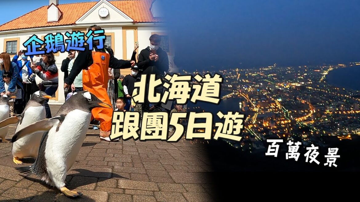 【北海道跟團】4月の北海道🇯🇵|函館 百萬夜景 ✲ 浪漫小樽運河 ✲ 三大螃蟹吃到飽|五日遊|一片葉子🍃 【北海道跟團】4月の北海道🇯🇵|函館 百萬夜景 ✲ 浪漫小樽運河 ✲ 三大螃蟹吃到飽|五日遊|一片葉子🍃