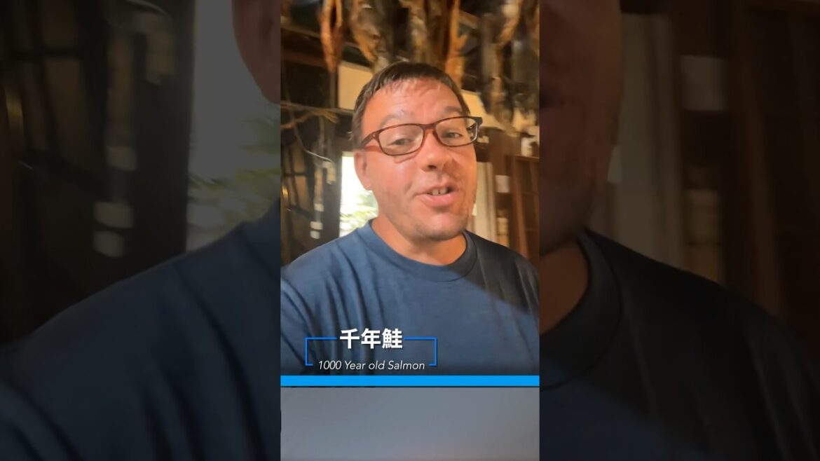The 1000 year old Salmon! #japan #salmon The 1000 year old Salmon! #japan #salmon