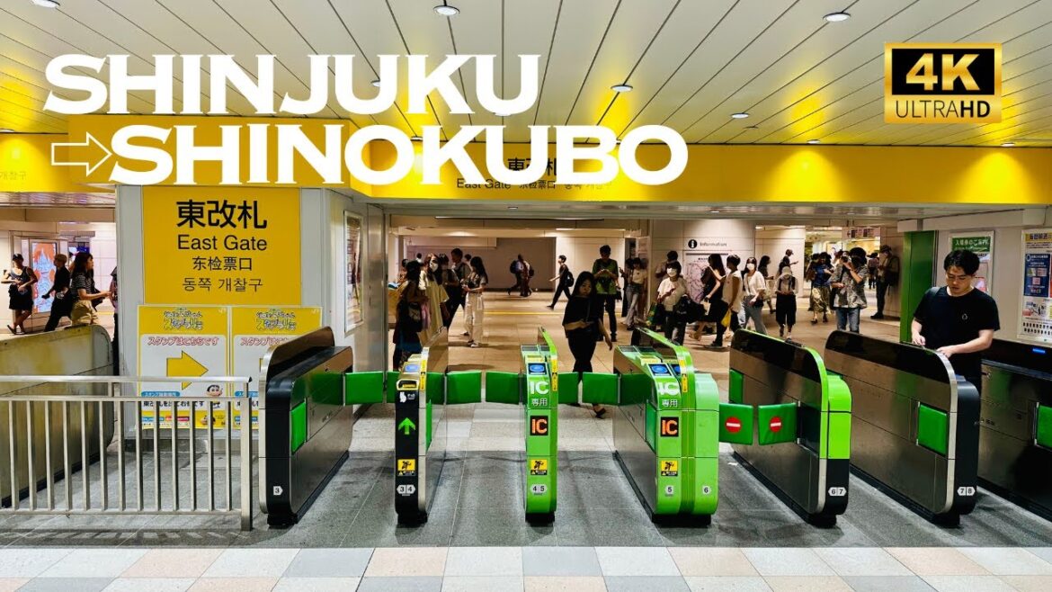 [4K] SHINJUKU→SHIN-OKUBO, Tokyo 🐧 Nonstop Walking Tour / 新宿→新大久保 東京 散歩