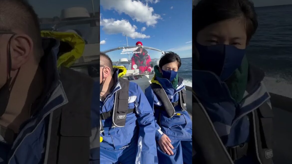 Fast Blast Tour, lots of fun in Katsuura, Lets Go Fast Blast Tour, lots of fun in Katsuura, Lets Go