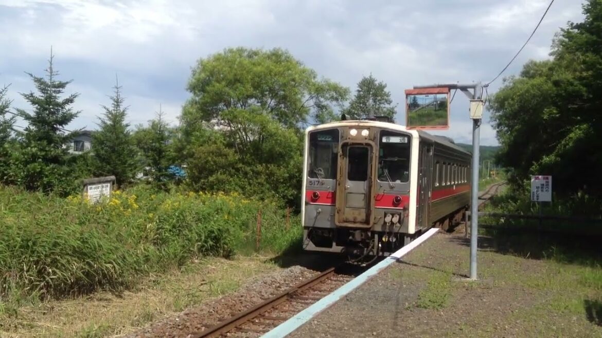 JNR 54 Series Diesel Car in Senmo Line 2013.08.28