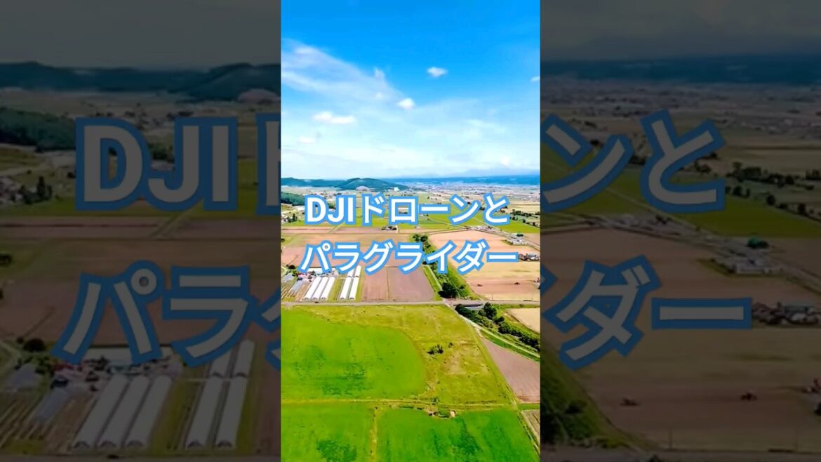 富良野でドローン空撮中にパラグライダーに遭遇。DJI fly with Paragraider #shorts #drone #avata