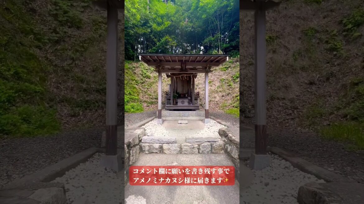 ⚠️ 天之御中主様の恩寵⚠️見るだけで奇跡が起こる！サムハラ神社 奥の宮遠隔参拝✨ #サムハラ神社 #アメノミナカヌシ様 #運気上昇 #パワースポット #遠隔参拝 #スピリチュアル #shorts