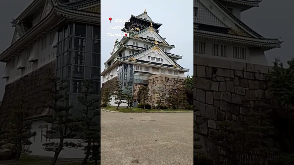 Castillo de Osaka, Japón 🇯🇵 #shorts #travel #wanderlust