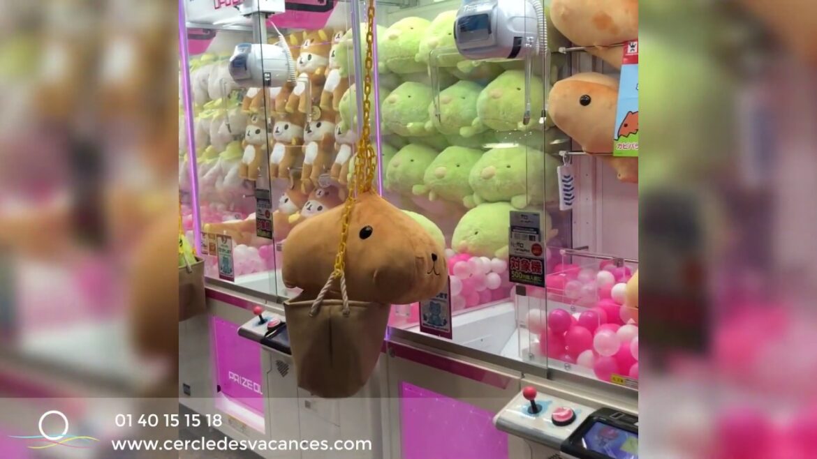 Voyage au Japon –  Emma et Patricia Voyage au Japon -  Emma et Patricia