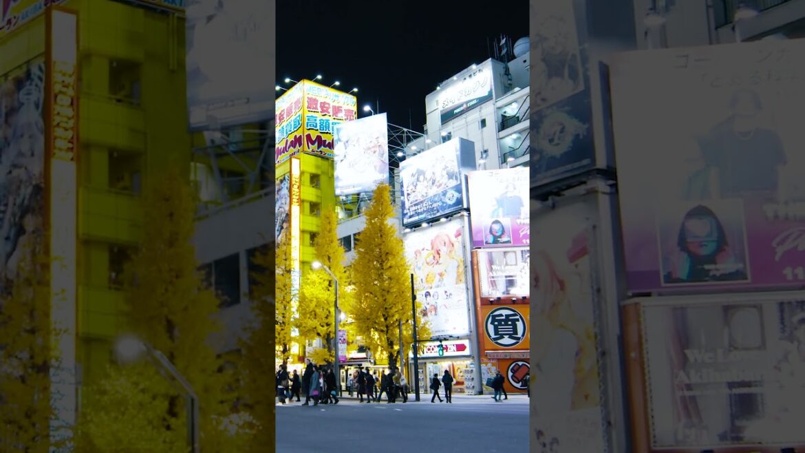 Akihabara district 🇯🇵 | The Best Things to Do in #Tokyo #Japan