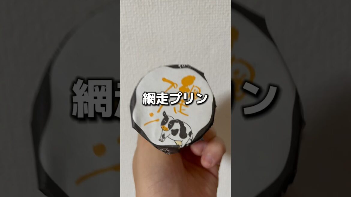 網走プリン食べてみた「しっかり食感で濃厚な風味が広がる」道の駅 流氷街道網走で購入 #shorts