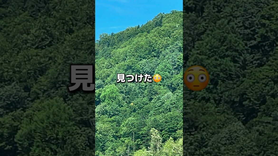 台風前の北海道ドライブ中に見つけた「小さい秋にびっくり」夏の終わり…… #shorts #vlog