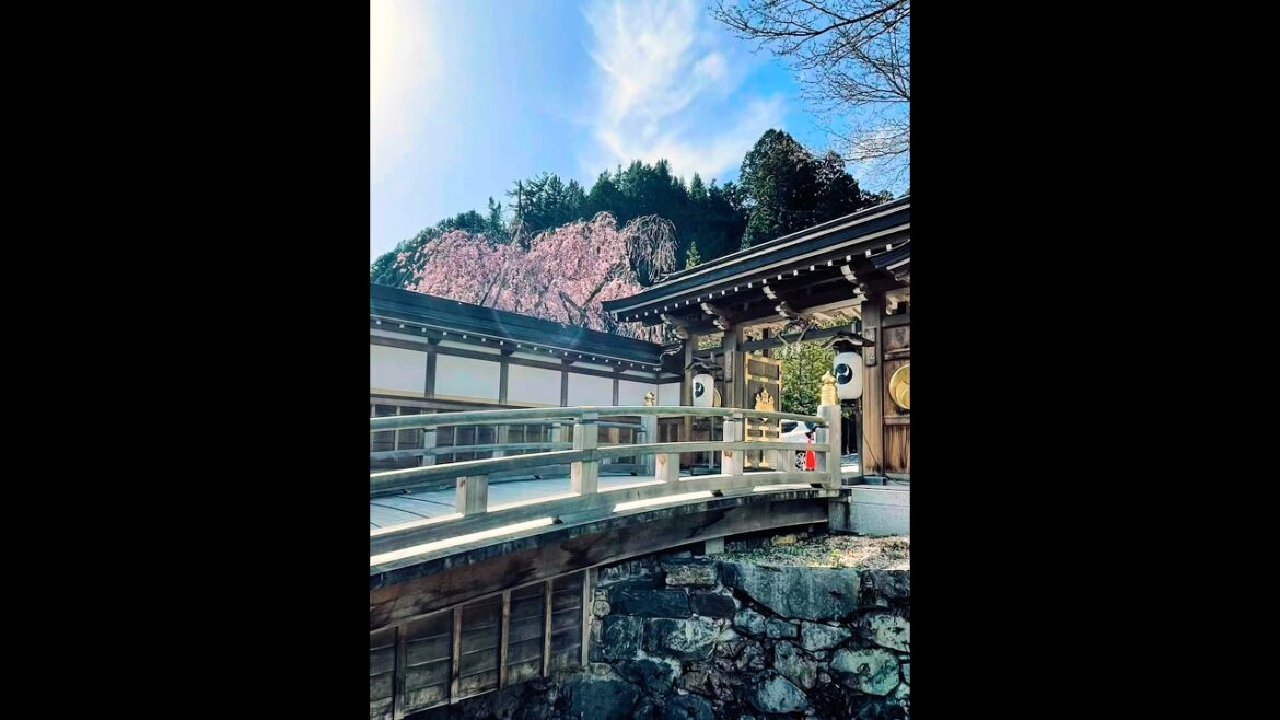 Koya-san, a Sacred Buddhist Mountain and UNESCO World Heritage Koya-san, a Sacred Buddhist Mountain and UNESCO World Heritage