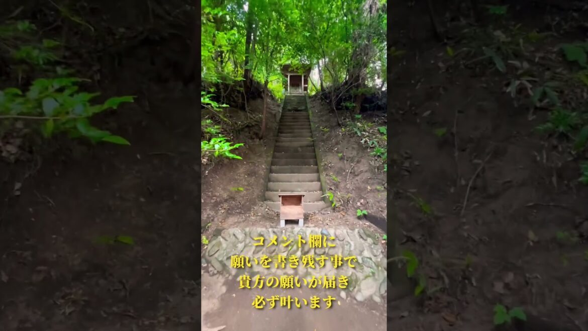 ⚠️サムハラ神社⚠️アメノミナカヌシ様に呼ばれないと辿り着けません!この動画に導かれた貴方の願いは必ず叶います✨#願いが叶う #パワースポット #サムハラ神社 #アメノミナカヌシ様 #遠隔参拝 ⚠️サムハラ神社⚠️アメノミナカヌシ様に呼ばれないと辿り着けません!この動画に導かれた貴方の願いは必ず叶います✨#願いが叶う #パワースポット #サムハラ神社 #アメノミナカヌシ様 #遠隔参拝