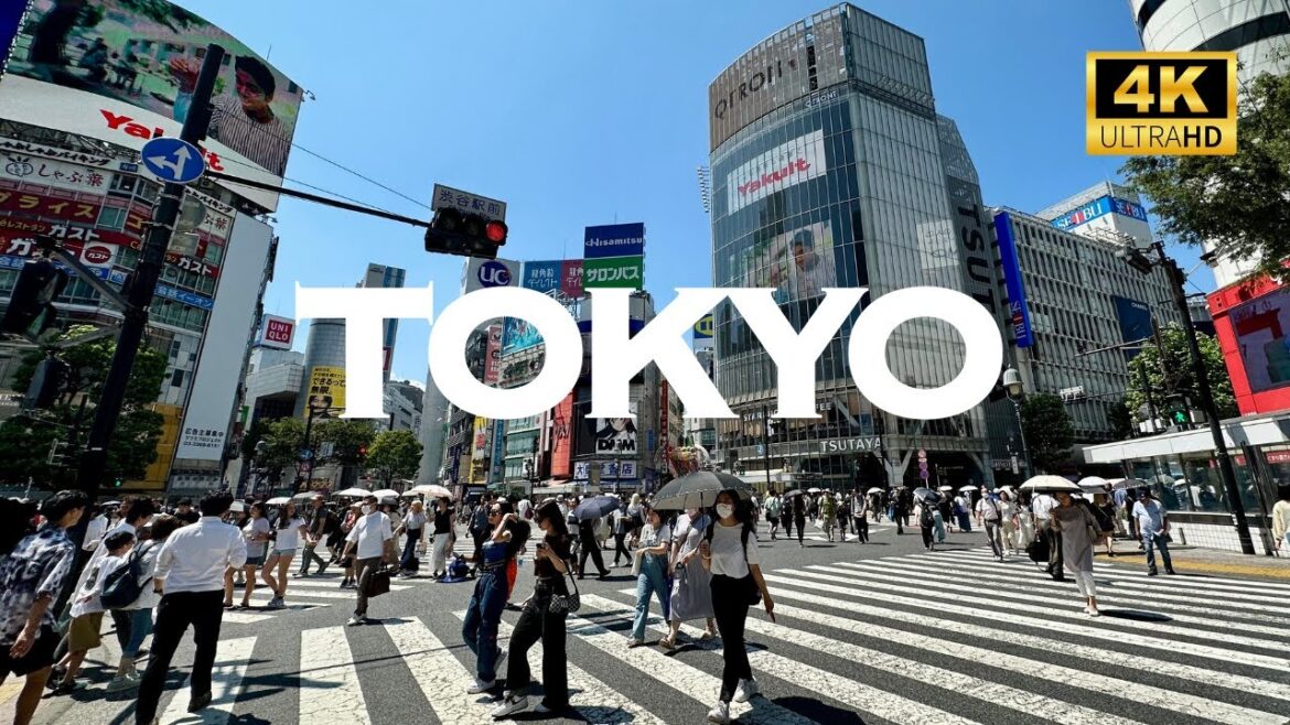 [4K] TOKYO 10 Places to VIst 🐧 Nonstop Walking Tour / 東京 散歩 10選