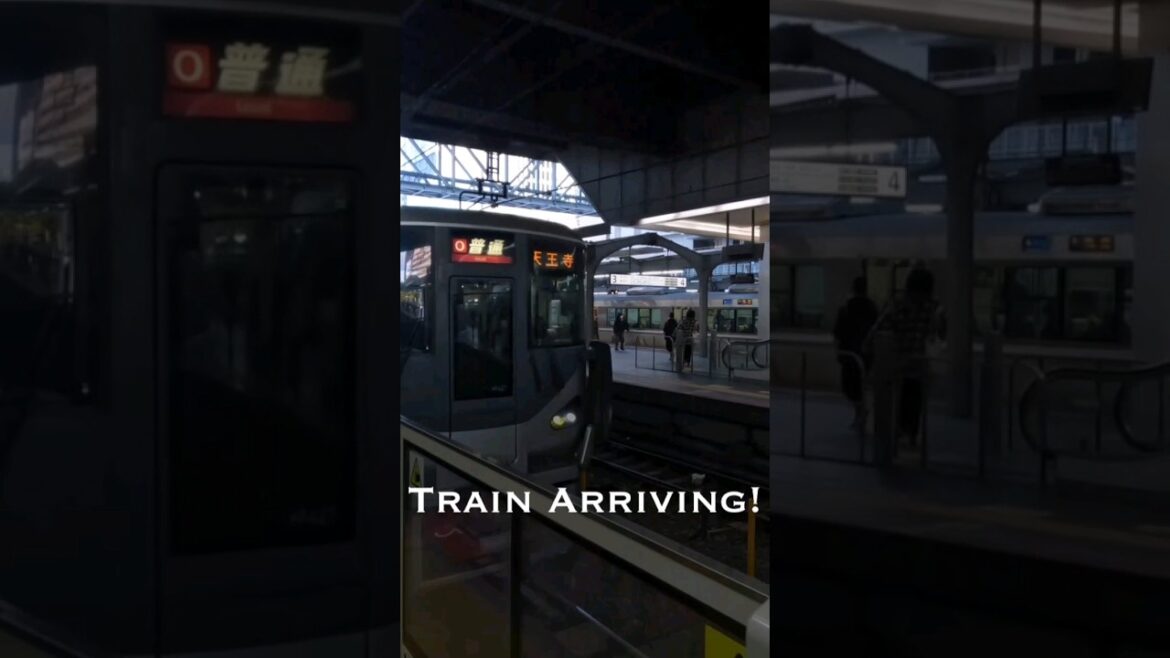 🇯🇵Osaka Station Rush Hour🇯🇵 #travel #japan #trainvideo 大阪駅 朝のラッシュアワー