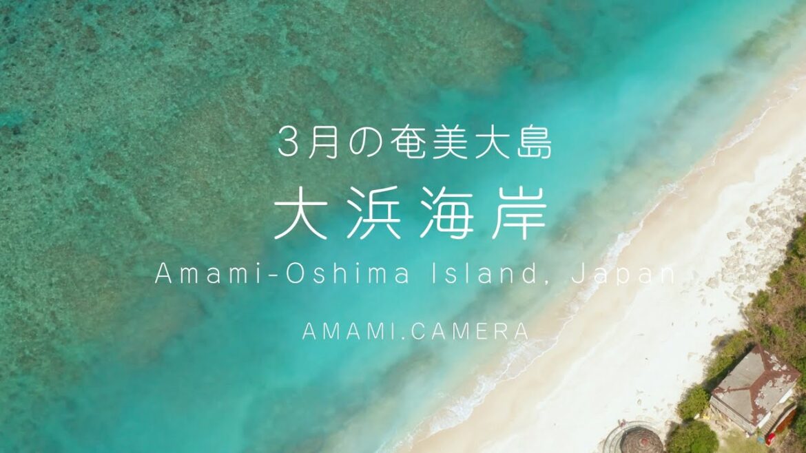 3月の奄美大島、大浜海岸 - 奄美市大浜海浜公園（ドローン空撮 4K）