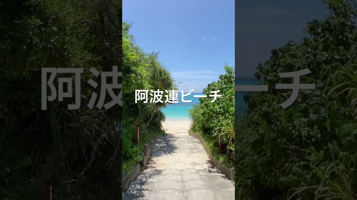 沖縄・離島の海がヤバすぎ！#沖縄 #shorts