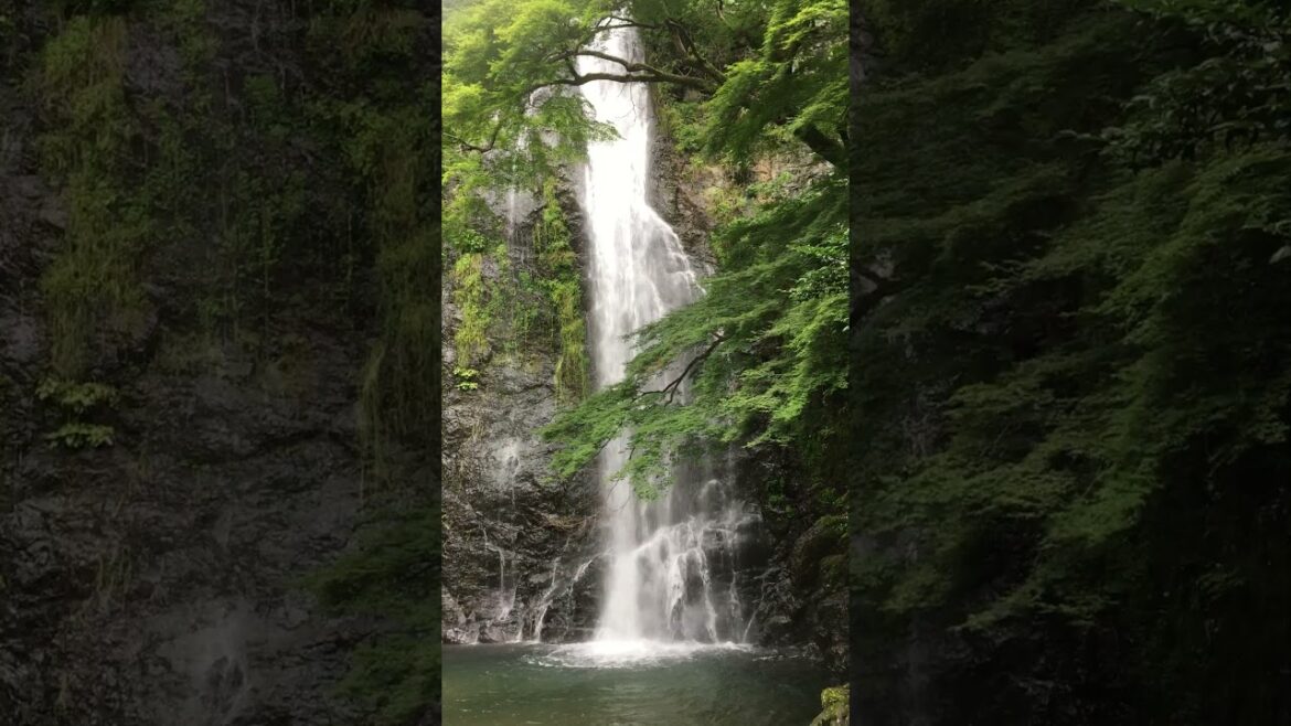 Mino Waterfall, Osaka 箕面瀑布（大阪） 미노 폭포（오사카）