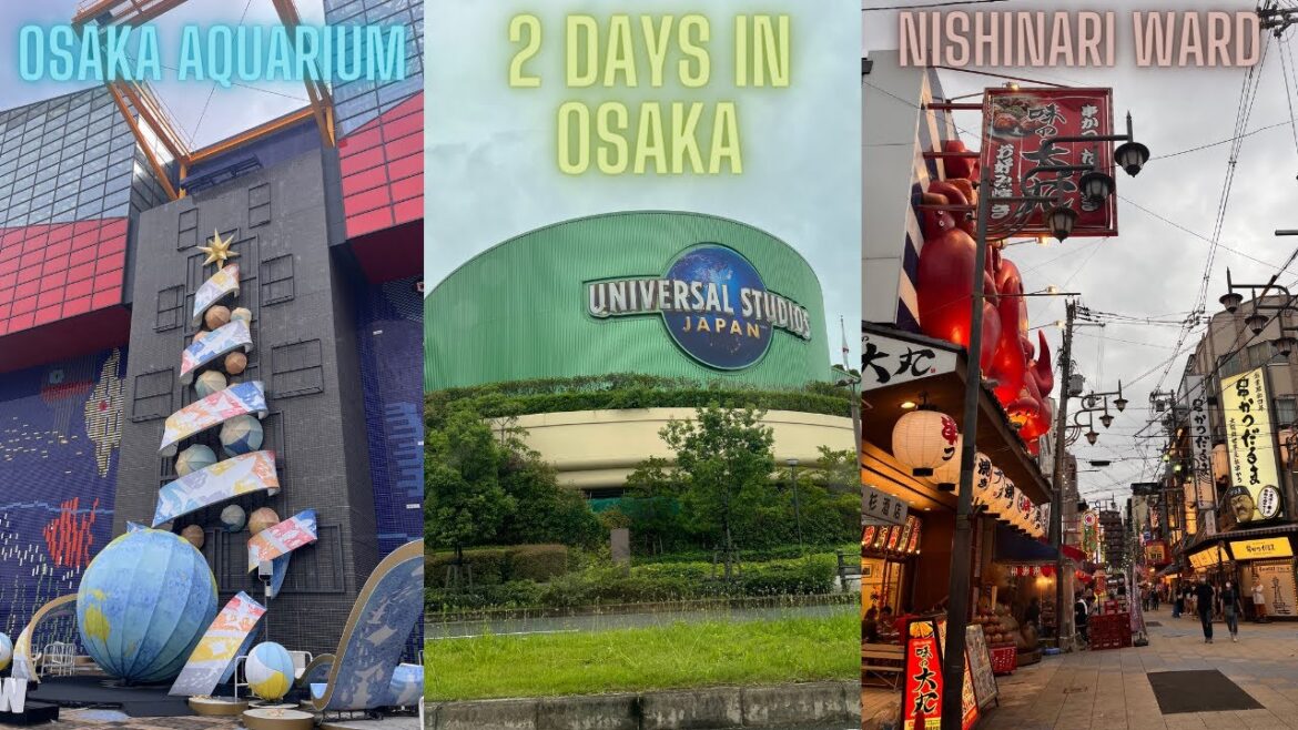 Our 2 Days in Osaka | Universal Studios Japan, Osaka Aquarium & Osaka Food Tour! Our 2 Days in Osaka | Universal Studios Japan, Osaka Aquarium & Osaka Food Tour!