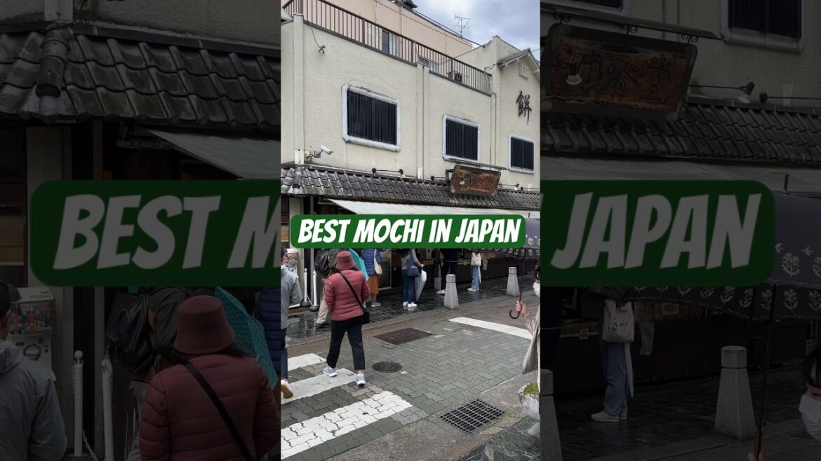Best Mochi in Japan. #travel #japan #kyoto #mochi #food #foodie #explore #thingstodo #2023 #shorts