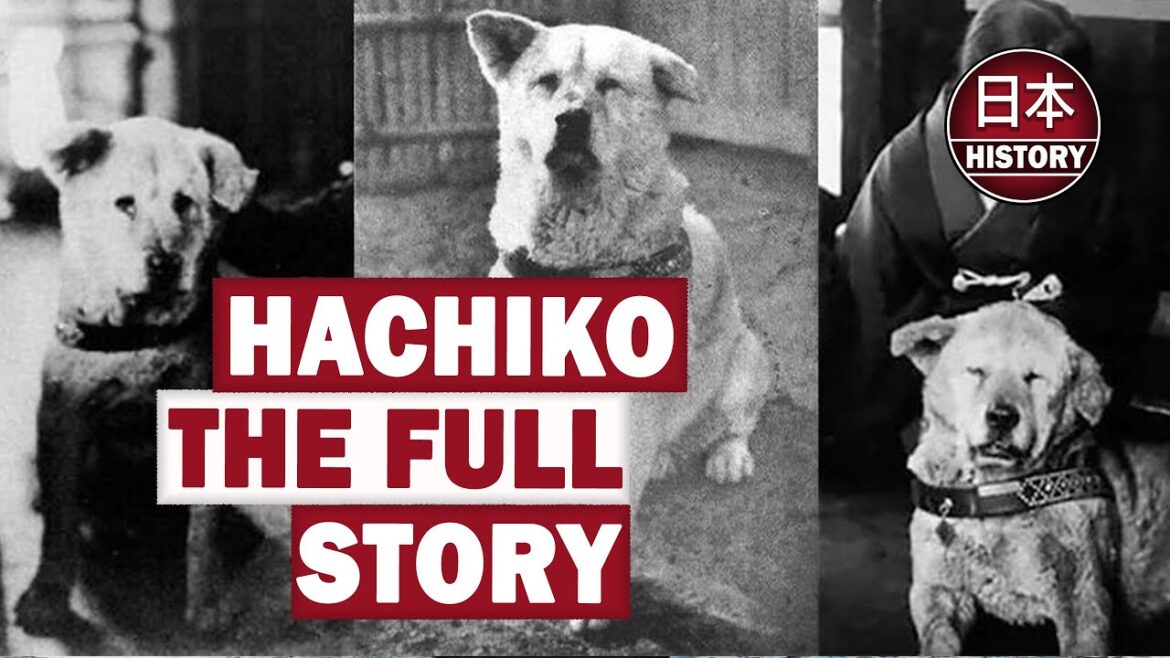Hachiko The Full Story of a Loyal Dog: AI Colorization & Real Bark. Hachiko The Full Story of a Loyal Dog: AI Colorization & Real Bark.