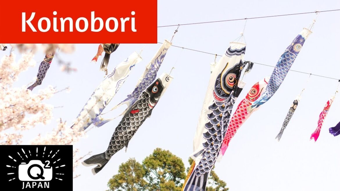 Tokunaga Koinobori in Okayama, Japan 徳永鯉のぼり Tokunaga Koinobori in Okayama, Japan 徳永鯉のぼり