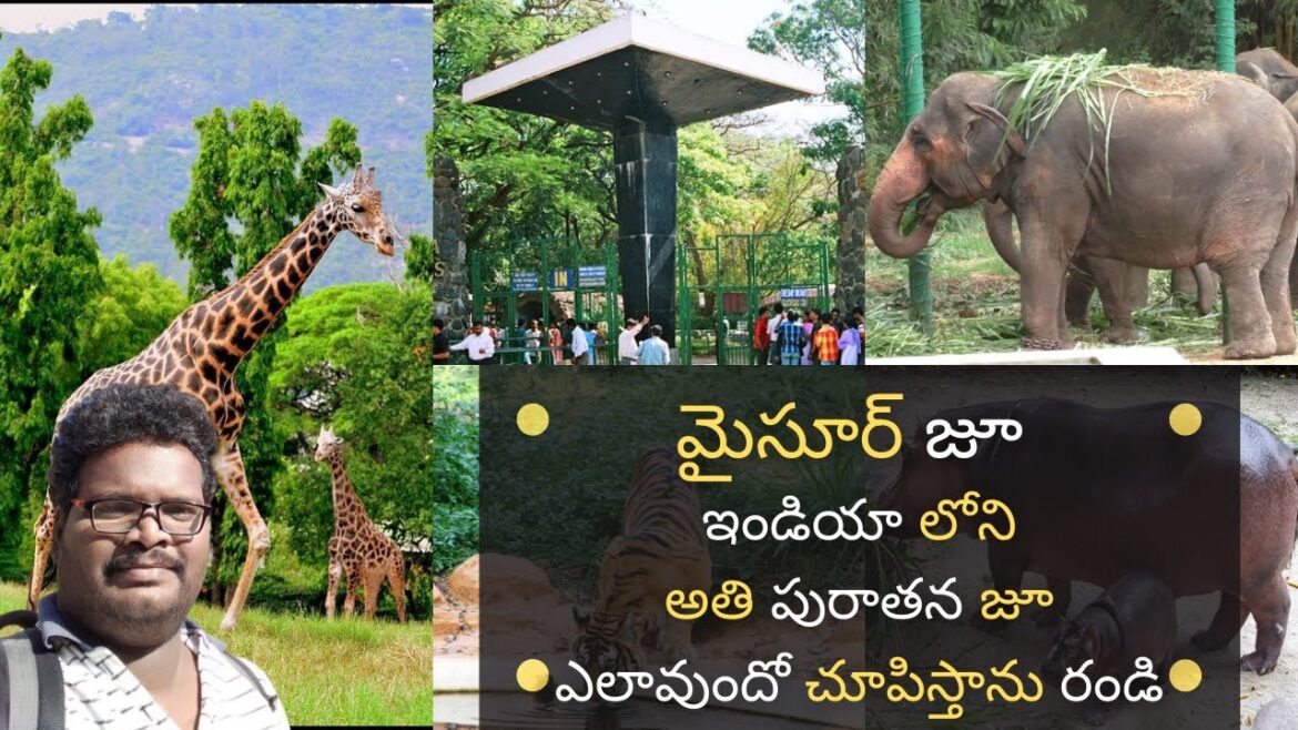 Mysore zoo full tour in Telugu | Oldest zoo in India | Mysore Ep - 3