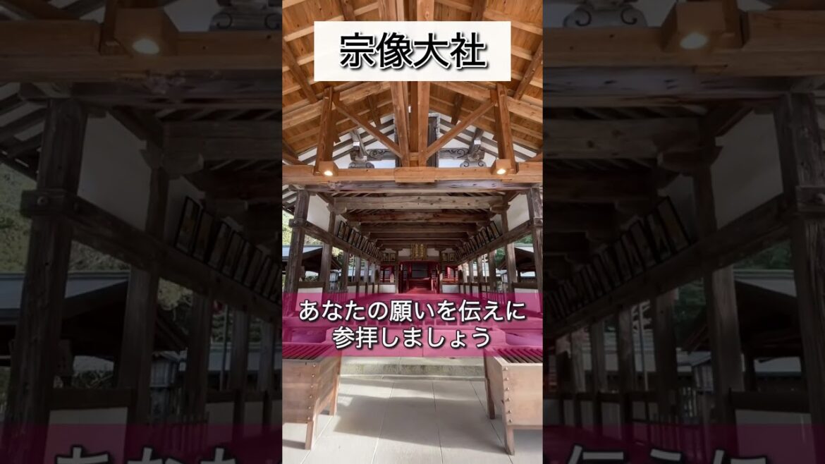 見れたら超幸運#パワースポット #宗像大社 #遠隔参拝 見れたら超幸運#パワースポット #宗像大社 #遠隔参拝