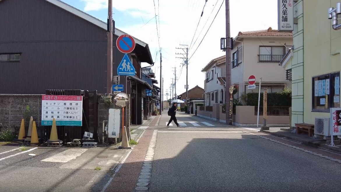 Japan 4K Walk - Nagoya, Aichi Countryside | Travel