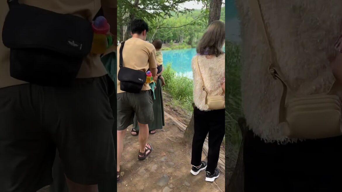 Shirogane Blue Pond Walk (crowded!) #walkingtour #japanwalkingtour #japanwalk #青い池