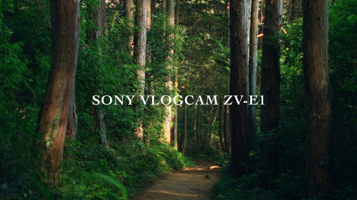 飯能 山峡に歴史を訪ねる｜SONY ZV-E1 4K Cinematic Film S-log3 4:2:2 10bit