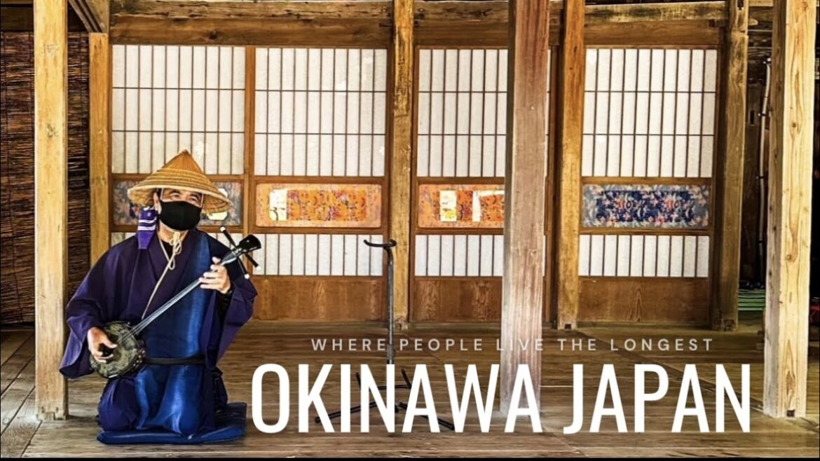 The island where people live the longest | OKINAWA Travel Vlog | Life in Japan