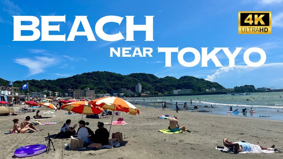 [4K] 7 Beaches Near Tokyo 🌻 Summer 2023 🐧 Walking Tour / 湘南 ビーチ７選 散歩