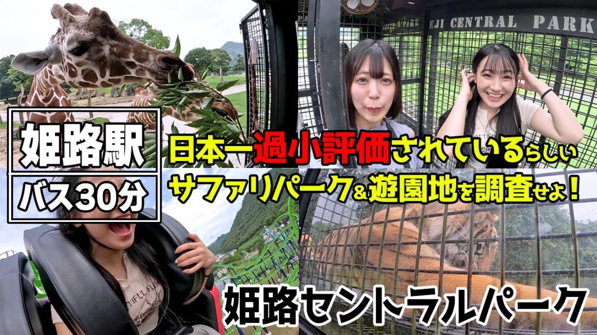 【姫路】楽しい思い出が待っている『姫路セントラルパーク』のアドベンチャーと魅力【ロカプラ兵庫】 【姫路】楽しい思い出が待っている『姫路セントラルパーク』のアドベンチャーと魅力【ロカプラ兵庫】