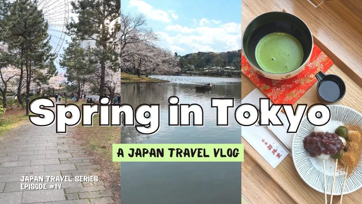 4-Days in Tokyo 🌸 cherry blossom season, Yokohama, Asakusa, work days | Spring Japan Travel Vlog