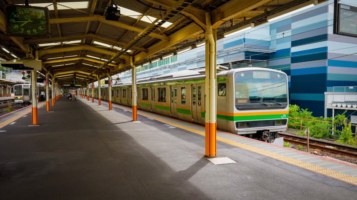 11-Hour Japanese Local Train Adventure 🚆🇯🇵 | Tokyo to Osaka with Seishun 18 Kippu