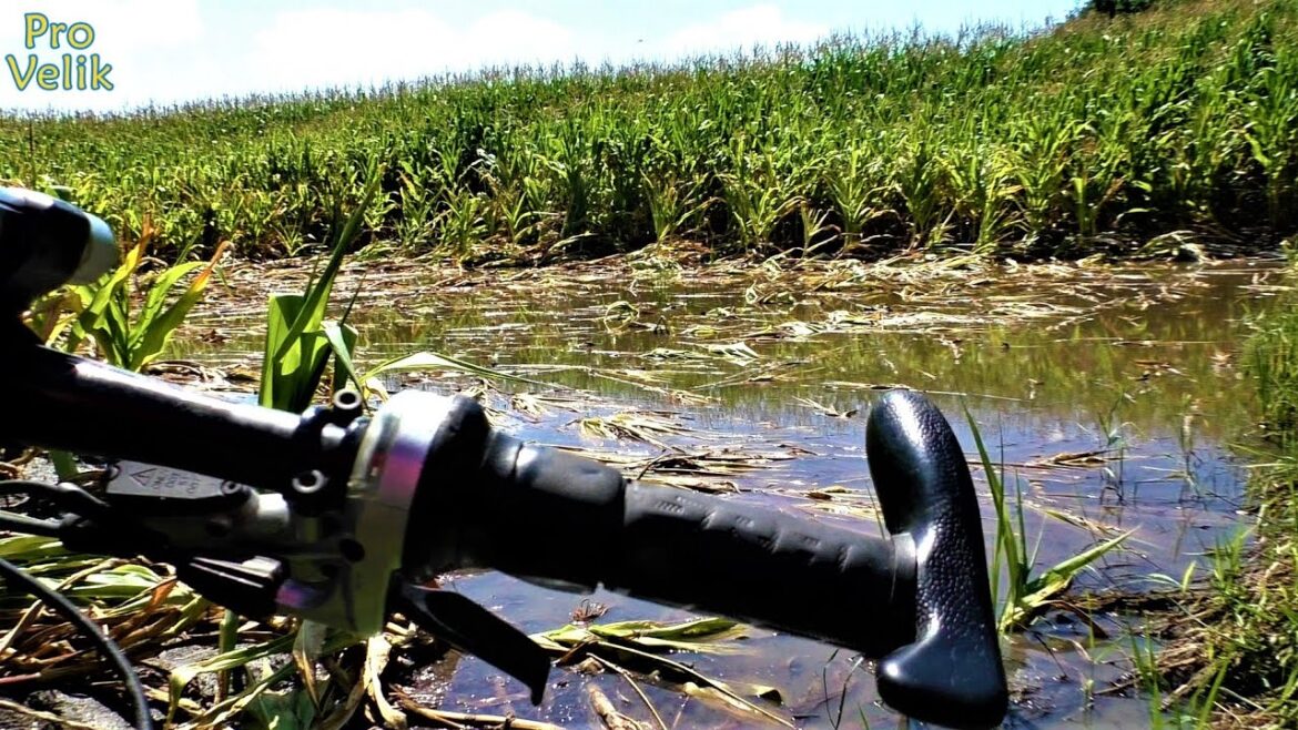 🚴♂ Велосипед, багнюка, гімно і кукурудза. Майже прямий ефір 😂 🚴♂ Велосипед, багнюка, гімно і кукурудза. Майже прямий ефір 😂
