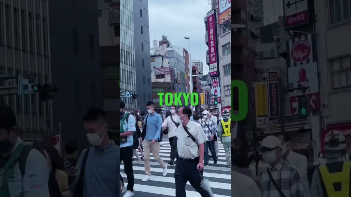 Shinjuku Crossing | Tokyo, Japan #travel #japan #tokyo #japanlover #shorts