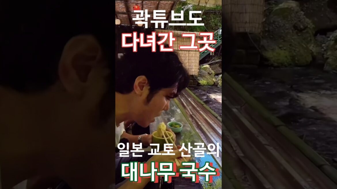 곽튜브도 다녀간 교토의 대나무 국수 #교토맛집 # 대나무국수#shorts #쇼츠 #국수 #곽튜브