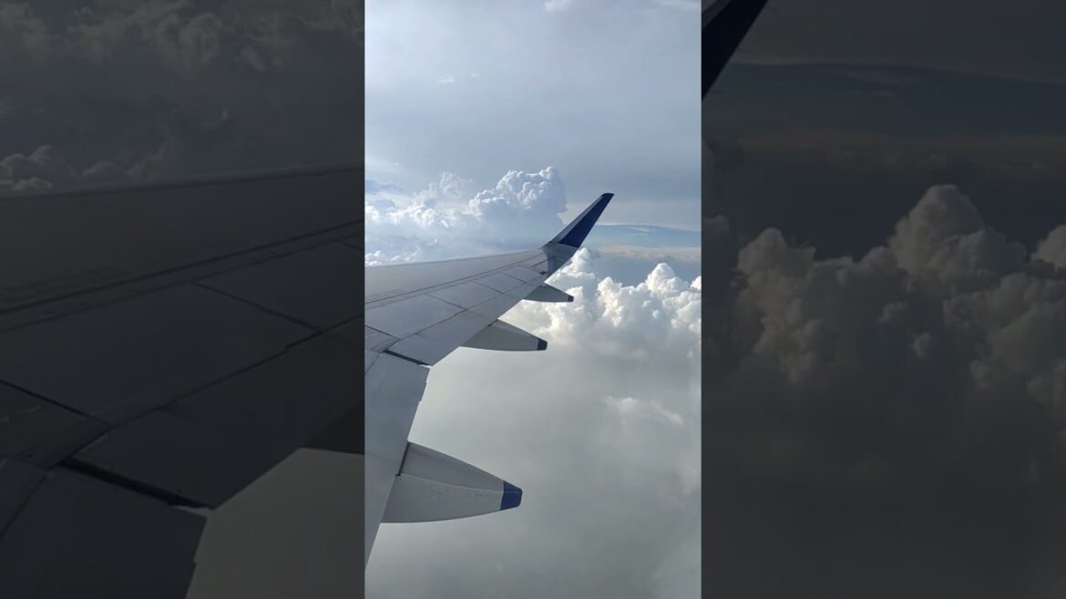 Sky view from Airlines. #shortsvideo #youtubeshorts #indigo #tourism