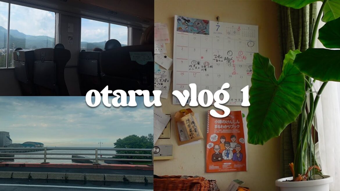 japan vlog: back to hokkaido, otaru for two months 🍡  (don quijote, japanese supermarket & food!)