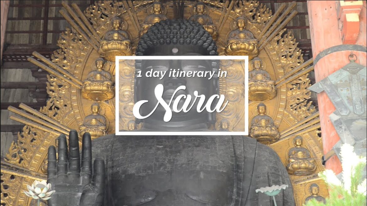 Nara - Travel plan for first timers | Japan Itinerary suggestion