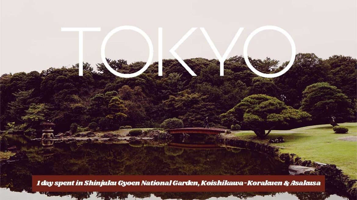Japan travel vlog ｜1 day spent in Shinjuku Gyoen National Garden, Koishikawa-Korakuen & Asakusa